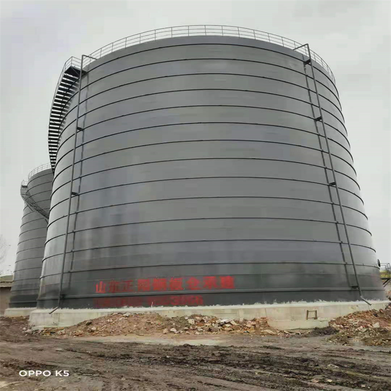 廉江3万吨大型钢板库